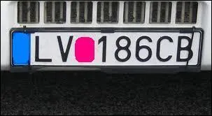 Quelle abrviation les Slovaques arborent-ils ?