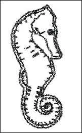 Poinon officiel depuis 2002, que reprsente l'hippocampe ?