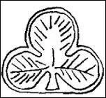 Que reprsente ce poinon en forme de trfle ?