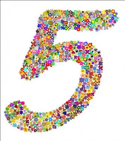 Comment se nomme une figure a 5 cts ?