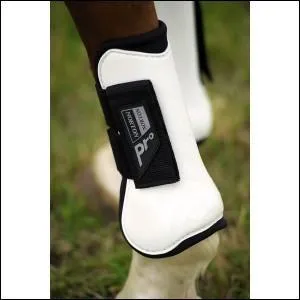 Quels sont les noms des parties des antrieurs que protgent les gutres ?