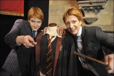 Fred et George, les inséparables jumeaux, sont également accompagnés dans le livre de leur meilleur ami :