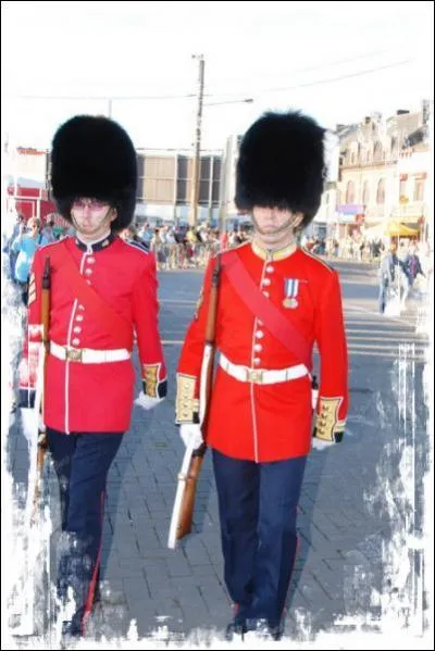 De quelle nationalit sont ces soldats?