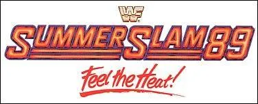 Quel fut le main event du Summerslam de 1989 ?