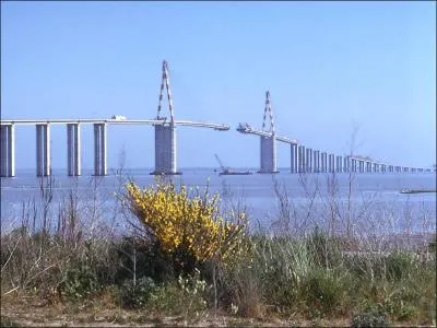 Quel homme politique a grandi  Saint-Nazaire ?