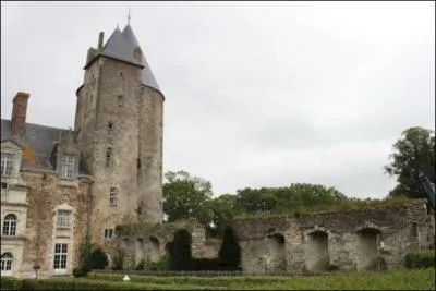 Quel est ce chteau, o vous verrez la tour pont-levis du quatorzime sicle et le   Logis du Roi  ?