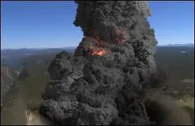 Quel(s) animal ou animaux sont prsents  Yellowstone ?