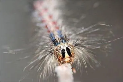 Divinits grecques souterraines !