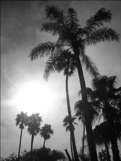 Quel pote franais, auteur de  l'isolement , a crit cet ouvrage sous forme de journal intitul  Voyage en Orient  ?