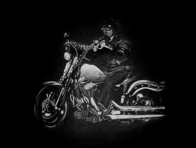 Qui chantait  Elle rvait de voyages, de bagages de grosses Harley avec les chmes, Moi mon portable et mes calmants, mon plan d'pargne logement, notre amour taillait la zone  ?