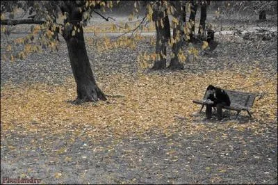 Comment tait le voyageur dans le titre d'un roman de Georges Simenon ?