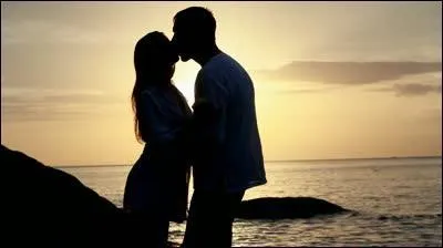 Qui chantait  Laisse moi t'aimer toute une nuit , faire avec toi le plus beau le plus long voyage  ?