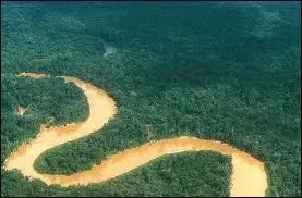 "C'est en s'unissant pour traverser la rivière qu'on ne risque pas d'être mangé par ... ... . " prov. chinois. Quel est le mot de la fin ?