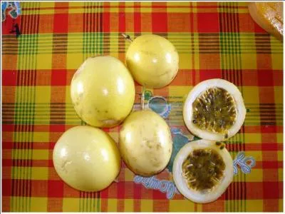 Aujourd'hui tu vas oublier / Tous les tocards qui n'ont pas assur / Y a pas que la fesse dans la vie / Y a le sexe aussi !