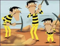 Qui est le plus stupide ?