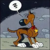 Comment s'appelle le chien le plus stupide du Far-West ?