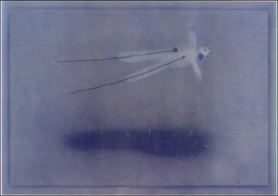 Lynch a cre une srie de dessins  la craie.