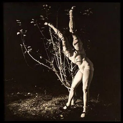 Cette photographie a t prise par Lynch.