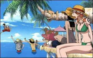 Qui chante  Crazy Rainbow Star  ?