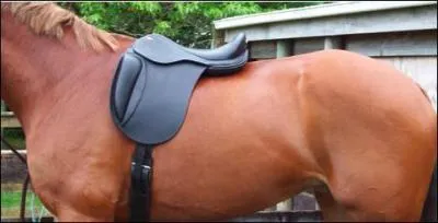 Que manque t-il pour que cette selle soit bien seller ?