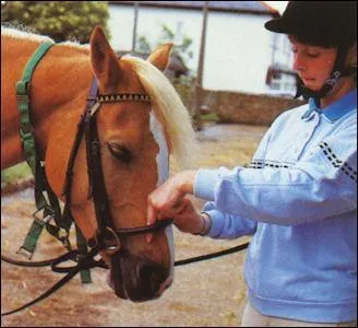 Ce cheval est-il bien brider ?