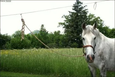 Sur cette photo la boucle de longe est-elle bien faite ?