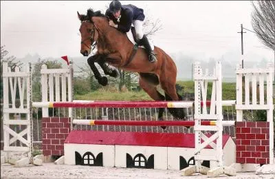 Comment s'appelle cette activit questre ?