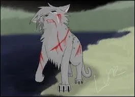 Comment Flau s'en sort-il ?