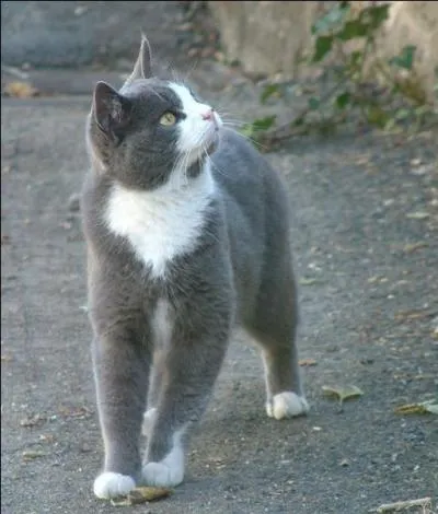 Il s'enfuit mais o se trouve-t-il maintenant ?