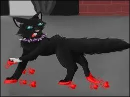 Comment essaye-t-il d'enlever son collier ?