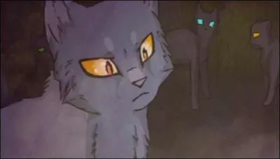 Il rencontre des chats errants et ceux-ci croyant qu'il avait tu un chien  cause du croc sur son collier lui demandent une chose. Laquelle ?