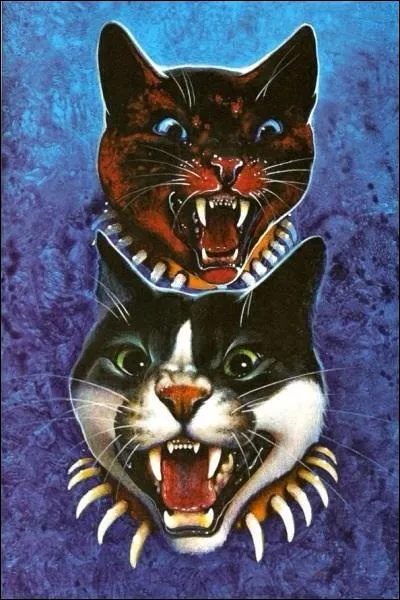 Comment s'appelle son clan ?