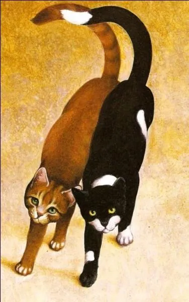 Quelles sont les alliances dans la fort  ce moment-l ?