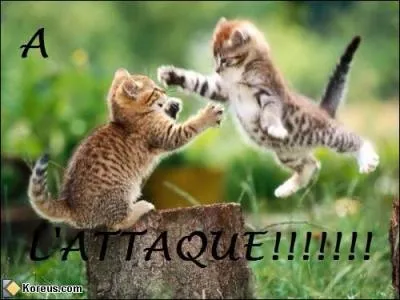 Qui tue-t-il en premier ?