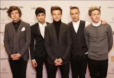 En quelle anne les One Direction se sont-ils forms ?