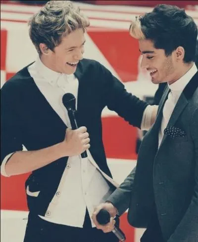 Lequel d'entre eux est irlandais ?