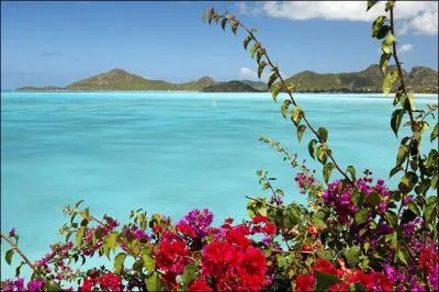 Dans quel pays irez-vous si vous allez  Saint-John's ?