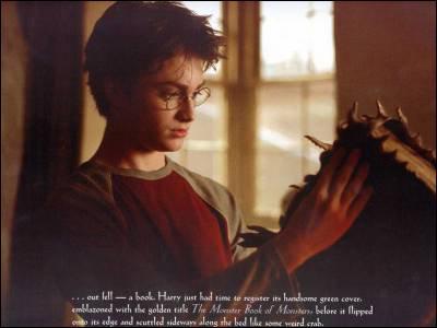 Dans le film, Harry ouvre pour la premire fois  Le Monstrueux livre des Monstres  au Chaudron Baveur. Dans le livre, c'est ...