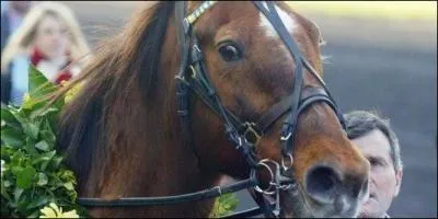 Qui est ce cheval ? (C'est un trotteur)