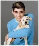 Avec qui Zayn est-il en couple ?