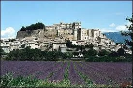 Vous avez derrire le champ de lavande, le village de Dieulefit (rgion Rhne-Alpes). Cette commune se situe dans le dpartement ...