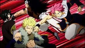 Nous somme des Dragon Slayers et nous nous sommes dj battus contre Natsu. Qui somme-nous ?