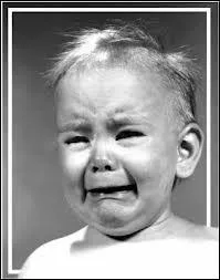 L'adjectif  chialeux  fait-il son entre dans le cru 2014 ?