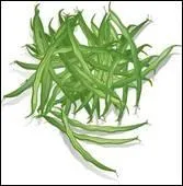 Les haricots ont trop ... .