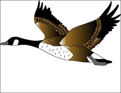 Je ne sortirai pas aujourd'hui, il fait un froid de ... .