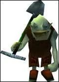Qui est ce personnage de  Zelda  ?