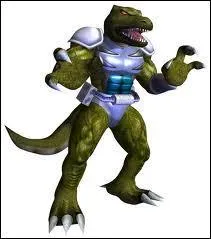 Qui est ce personnage de  F-Zero  ?