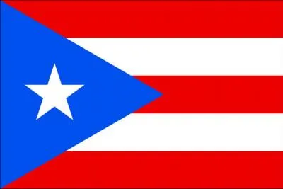 Quel pays possde ce drapeau ?