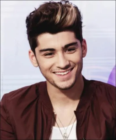Sur qui Zayn craquait-il ?