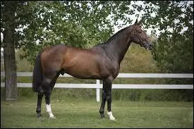 Et celle d'Hickstead ?